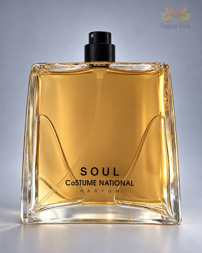 Costume National Soul — frasco sobre fundo cinzento